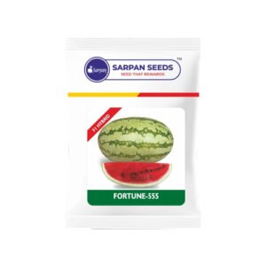 Fortune-555 F1 Hybrid Watermelon Sarpan Seeds 50 gm