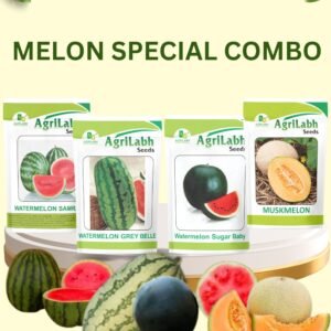 MELON COMBO SEEDS PACK 4 in 1