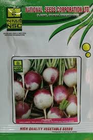 NSC KGP Turnip Seeds SHALJAM