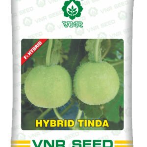 Tinda Seeds 50 gram