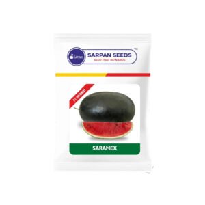 Sarmex (Ice Box) F1 Hybrid Watermelon Seeds