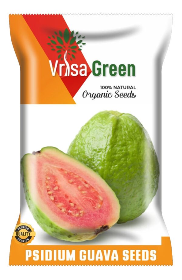 Vrisa Green GUAVA FRUIT Seed (100 per packet)