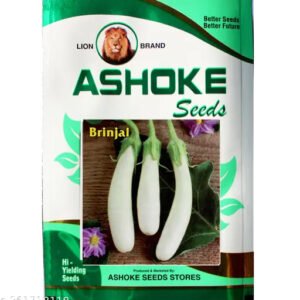 White Brinjal Seeds Hybrid Brinjal Seeds Long Brinjal Seeds for Home Gardens Farms All Season Vegetable Planting Seeds