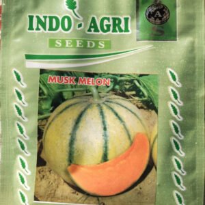 madhu-musk-melon-seeds-50gm