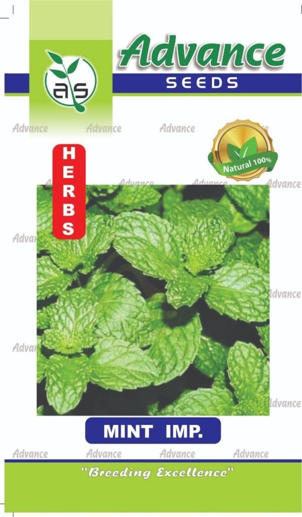 mint seed, GARDENIFY INDIA f1 hybrid mintpudina seeds, herb seeds for home gardening plants Seed (20 per packet) A